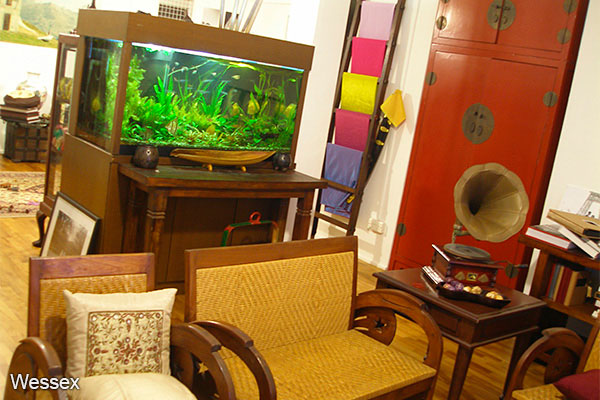 Kembangan