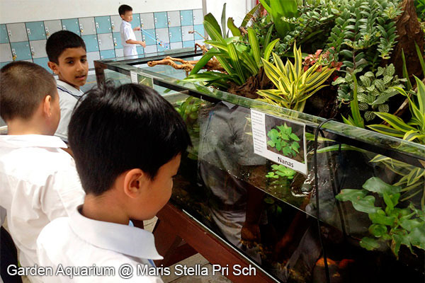 Green Thumbs @ Bishan Park