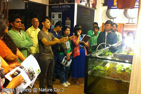 Terrarium Making Class 1