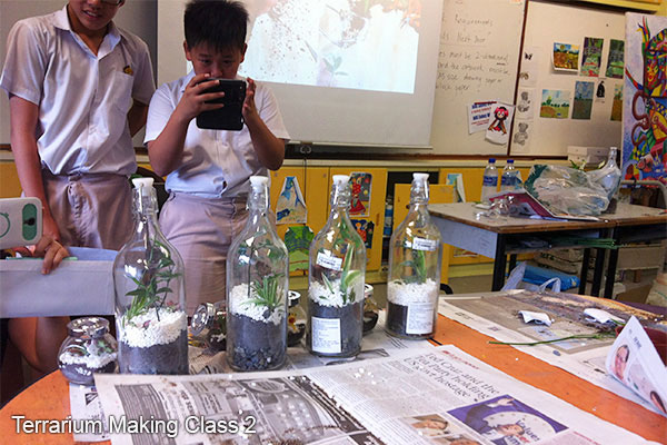 Terrarium Making Class 3