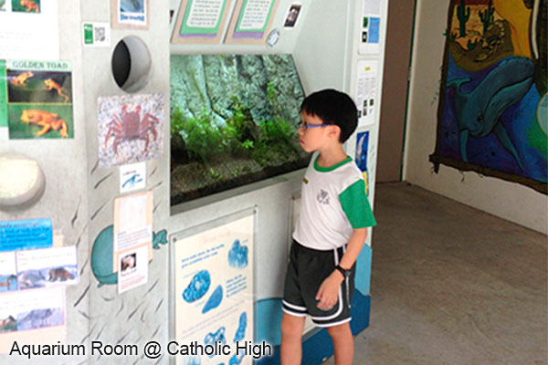 Garden Aquarium @ Maris Stella Pri Sch