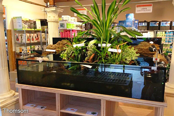 Bukit Timah 1
