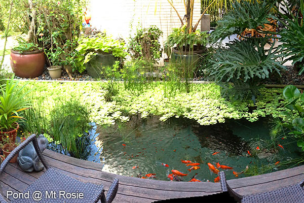 Reflections @ Bukit Chandu 1